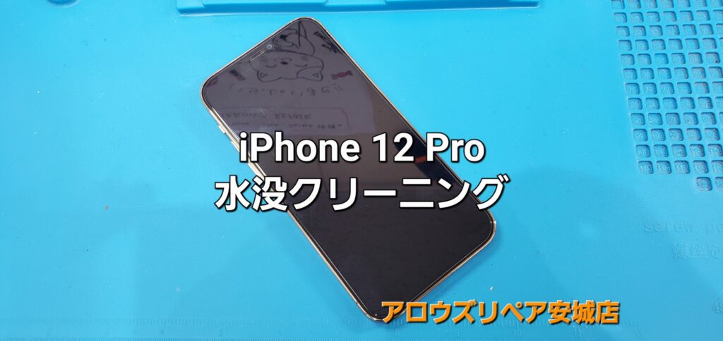 安城市よりご来店、iPhone 12Pro 水没クリーニングのご紹介。|安城駅徒歩3分|iPhone・Switch・iPad修理ならアロウズリペア安城がおすすめ！JR安城駅から徒歩3分、データそのまま即日修理、Switch修理もお任せ下さい。お客様のお悩み解決致します。